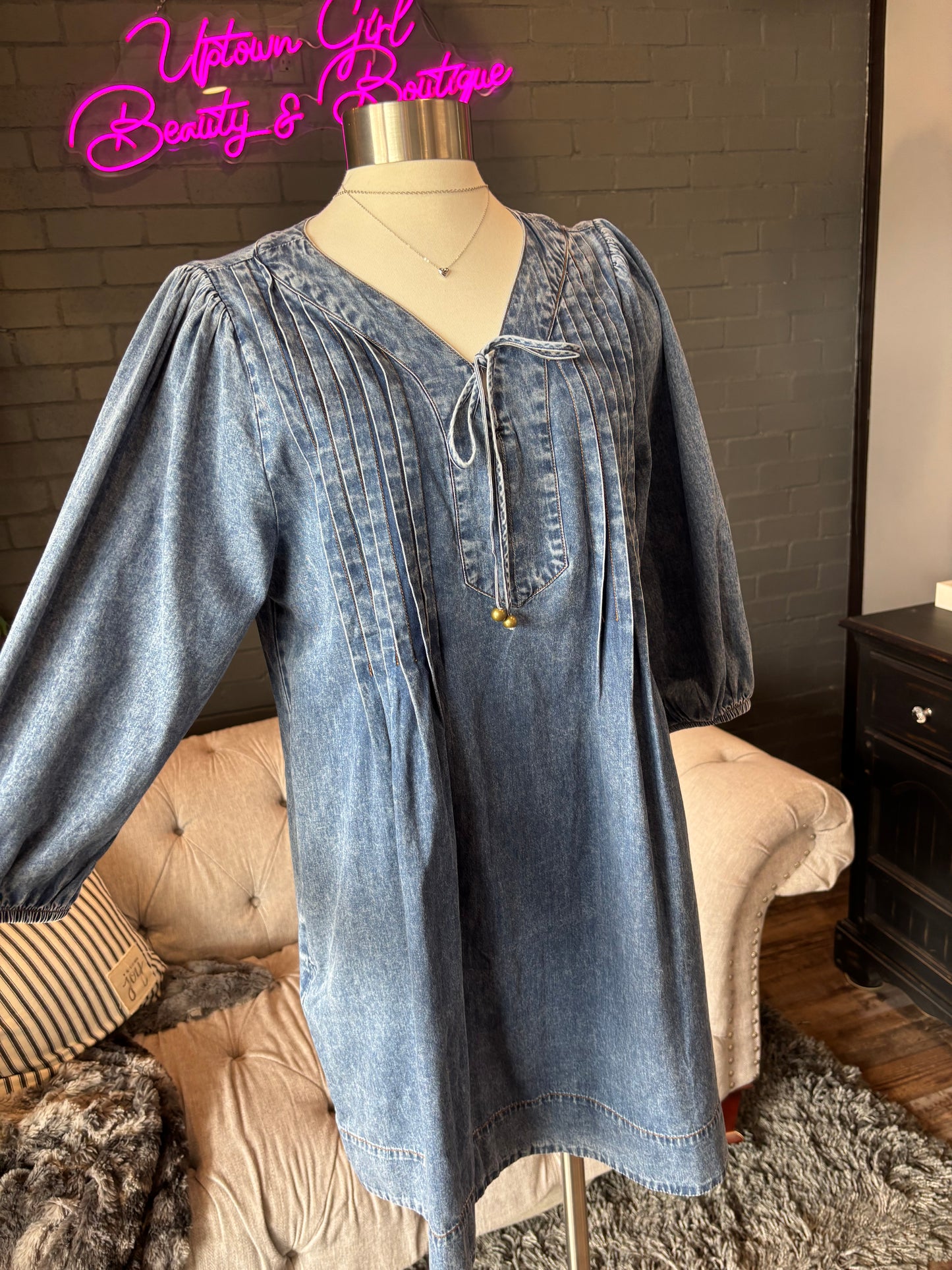 Serephine Denim Dress