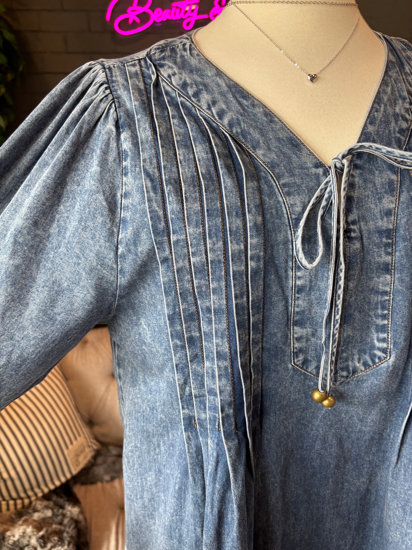 Serephine Denim Dress