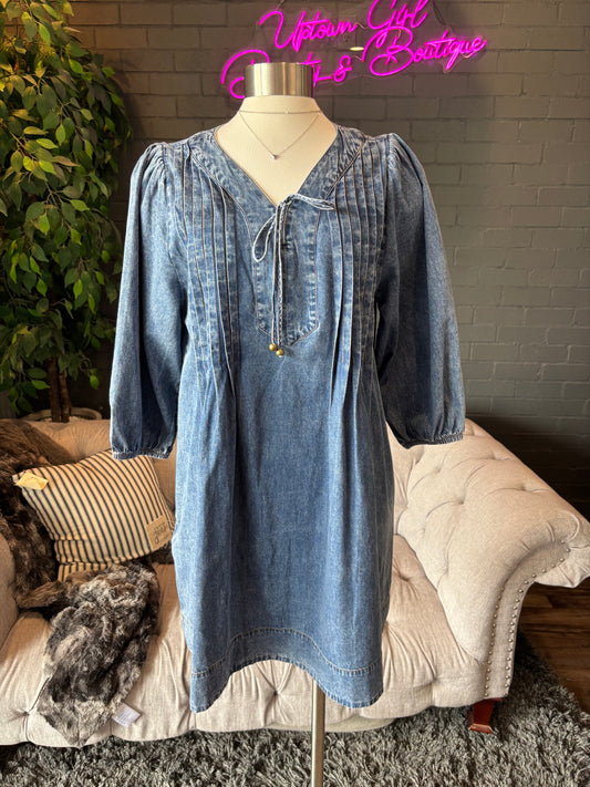 Serephine Denim Dress